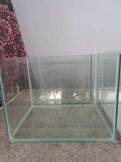 Fish tanks