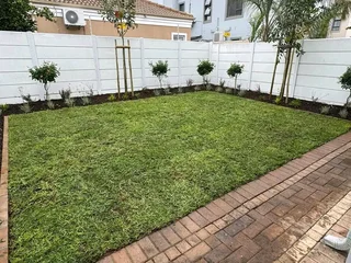 Instant lawn