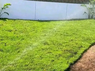 Instant grass