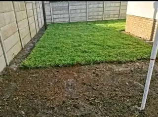 Instant grass