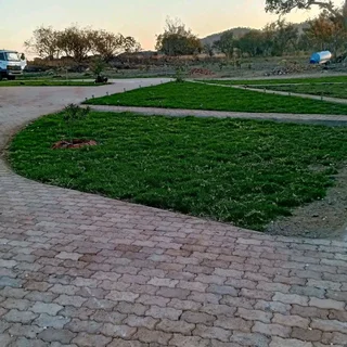 Instant grass