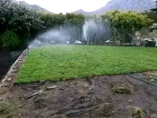Instant grass