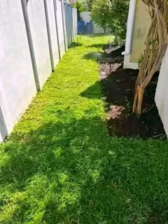 Instant grass