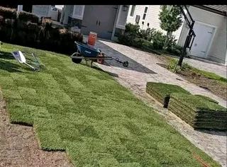 Instant grass