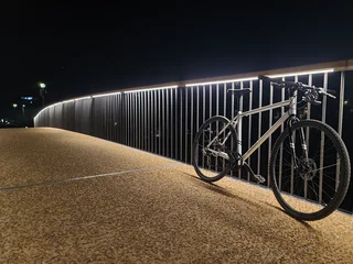 Avalanche bike - 9 Month old