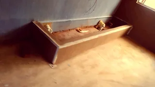 All construction jobs including paving ,painting,plastering&amp; building of structures