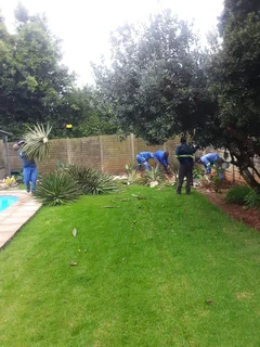 Robs, Garden Services: 073 875 5515