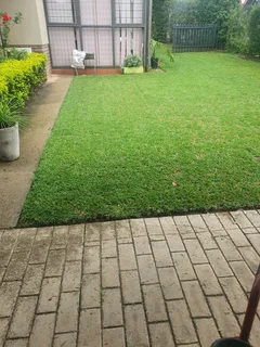 Iam Benson malawian experience gardener