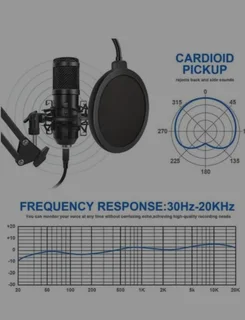 Microphone, Sound Card and Stand (only 2 left)