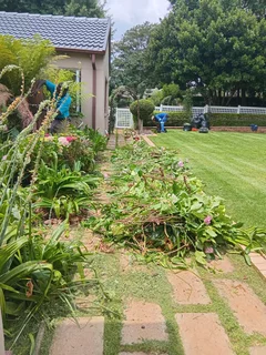 On Garden Services: 068 336 9308