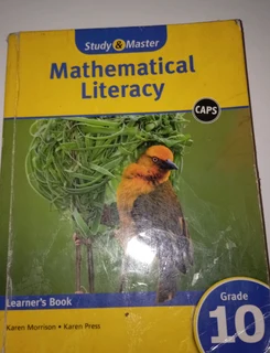 Grade 10 Math Lit Textbook