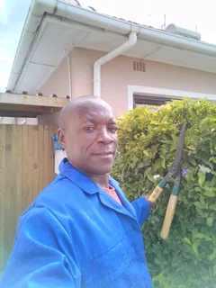 Good gardener looking for job