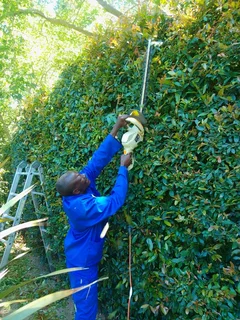 Good gardener looking for job