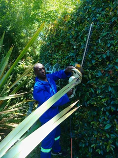 Gardener looking for job