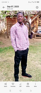 Looking For A Job As Garden And Plumber/ Painter