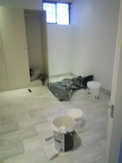 Water proofing, painting &amp; roofing and