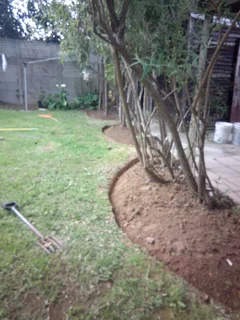 Gardeng boy available