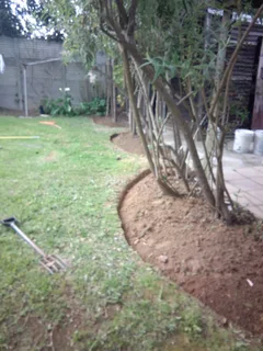 Gardeng boy available