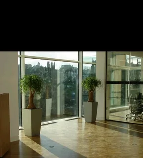 Gardening services general work ditiy work construction