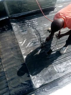 Removal and delivery services /:Waterproofing & Painting::