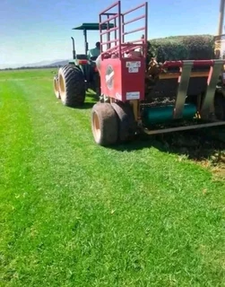 Grass installation and selling at the affordable price