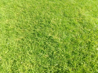 Grass installation and dealiver at a good prices
