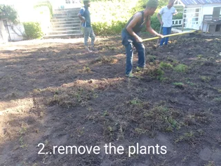 We do sell grass and installation