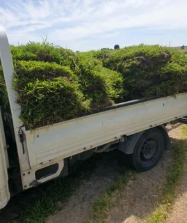 We do sell grass and installation