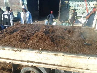 Green And Fresh Grass For Sale And Installation