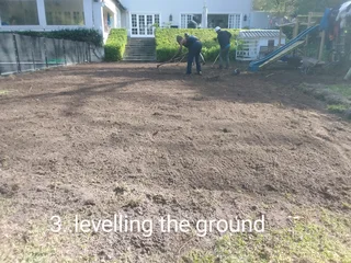 GREEN AND FRESH GRASS FOR SALE AND INSTALLATION