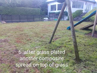 GREEN AND FRESH GRASS FOR SALE AND INSTALLATION