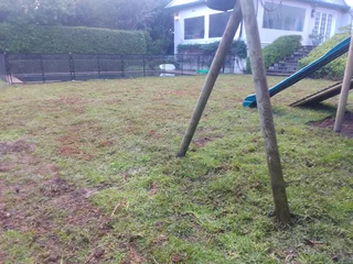 GREEN AND FRESH GRASS FOR SALE AND INSTALLATION