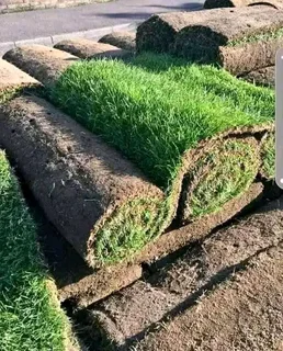 FRESH AND GREEN GRASS FOR SALE AND INSTALLATION