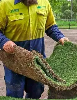 FRESH AND GREEN GRASS FOR SALE AND INSTALLATION