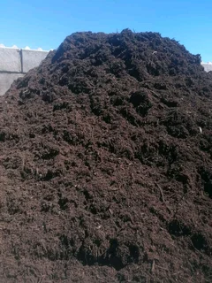 FRESH AND GREEN GRASS FOR SALE AND INSTALLATION