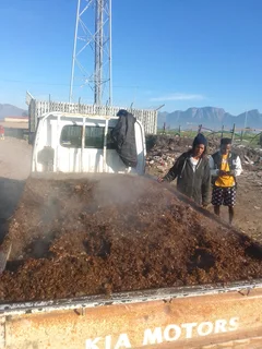 We have all types of grass