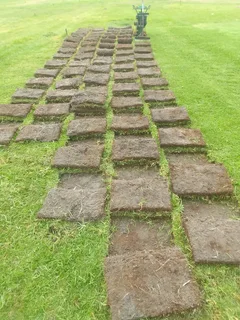 We have all types of grass