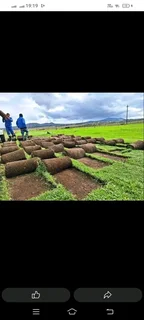 We have all types of grass