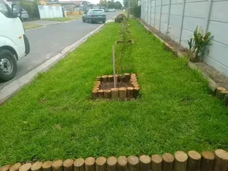 We have all types of grass