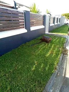 GRASS IS STILL AVAILABLE AND INSTALLATION