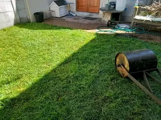 GRASS IS STILL AVAILABLE AND INSTALLATION