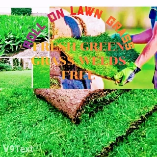 We do sell grass and installation with all types of grass