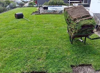 We do sell grass and installation with all types of grass