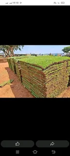 We do sell grass and installation with all types of grass