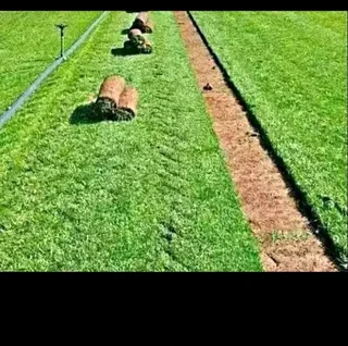 We do sell grass and installation with all types of grass