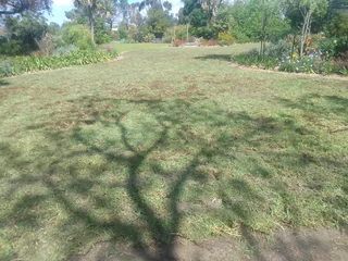 We do grass supply and installation