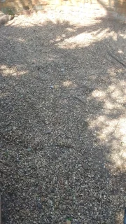 We do all garden service at affordable prices