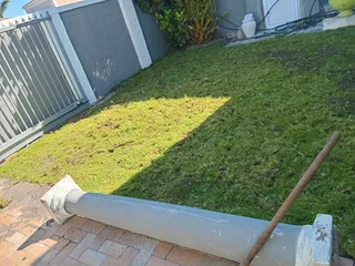 Green grass with high quality