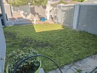 Green grass with high quality