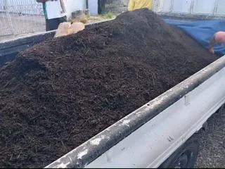 Green grass with high quality